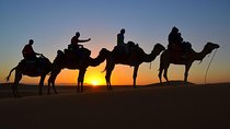 6 Days Private Tour to South Morocco Desert with Camel Trek