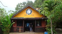 Bob Marley Nine Mile Private Tour 