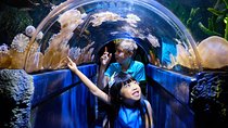 SEA LIFE Melbourne Aquarium Admission Ticket