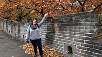 2 Days Tianjin Shore Excursions to Beijing Great Wall and Forbidden City