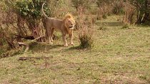 3 day maasai mara budget Camping Group safari