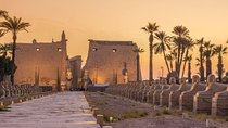  Half Day Tour : karnak Temple and Luxor Temple & felucca ride