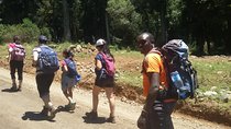 5 Days Mt. Kenya Sirimon route out Chogoria Route with Peak Circuit