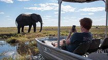 Chobe national park 3 days / 2 nights