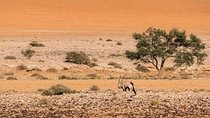 15 Days All About Namibia | Self Drive Lodge