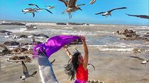 From Marrakesh: Full Private Day Tour To Essaouira Mogador