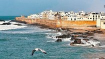 From Marrakesh: Full Private Day Tour To Essaouira Mogador