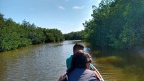 Live like a fisherman on the Mangroves Rout