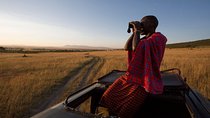 1-Day Maasai Mara Safari