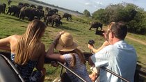 Minneriya Elephant Safari With Sigiriya Rock & Dambulla Cave Temples (Full Day)