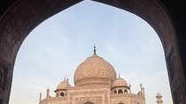Taj Mahal tour with Elephant and Bear conservation center from Delhi