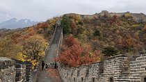 Beijing Layover Tour to Mutianyu Great Wall and Forbidden City