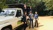 Safari at Wilpattu National Park from Negombo (Private Day Tour)