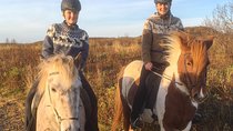 2 hours Private Horse Riding to Lake Hafravatn, Reykjavík - Mos