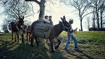 Walks and hikes with donkeys