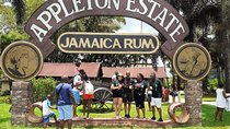 Pelican Bar, Appleton Rum Tour, YS Falls Jamaica south coast experience Montego