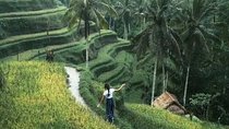 Bali Full Day Traditional Village Sightseeing 