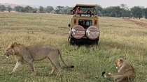 3 Days Tanzania Safari