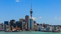 Auckland airport transfer