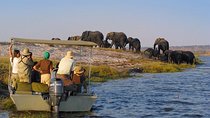 2-Day Nyerere National Park , Boat Safari & Game Drive