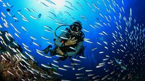 Scuba Diving from Hurghada