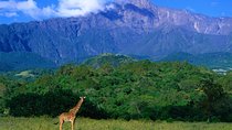 1 Day: Arusha National Park
