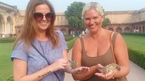  All Inclusive: Same day Taj Mahal Tour From Delhi 