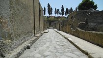 Herculaneum and the Archeological Museum of Naples Private Tour from Rome
