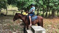 Customize Day Tour In Ochi (Horseback Riding,Rafting,Blue Hole, Dunns River )