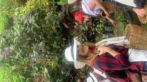 Coffee tour+Guatape 