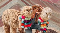 Mountain of Colors Tour - Vinicunca