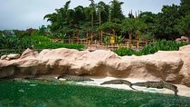CrocoPark Visit (Transport included)