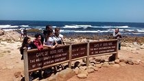 Cape Peninsula and Penguins at Boulders Beach