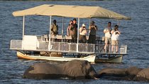 Chobe Full Day Experience