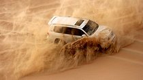 Private Abu Dhabi Evening Desert Safari (Exclusive)