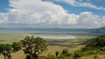 1 Day: Taste of Wildlife to Ngorongoro Crater