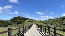 Half Day Private Tour to Yangmingshan National Park and Yehliu Geopark