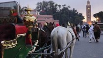 Marrakech Caleche by Night with Free Time in Jemaa El-Fna