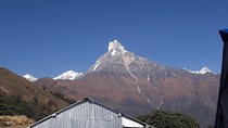 Mardi Himal Trek