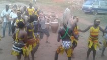 Eight days cultural and wildlife tour in Uganda
