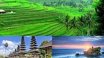 Jatiluwih Rice Terrace & Tanah Lot Tours