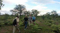 Rhino & Nature walk in the Musiotunya National Park