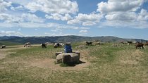 Mini Gobi and the ancient capital Kharkhorin - 4 days