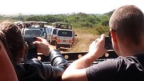 Lake Nakuru National Park Day Tour