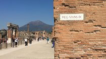 History and Wine - Private car service, guided tour of Pompeii and Wine tasting