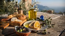 From Padua: Olive Oil & Wine in the Euganean Hills