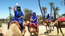 Camel Ride in Marrakech with Hotel-Pick up and Drop-off Included