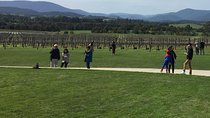 Scenic Private Yarra Valley Wine Tour 