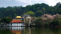 3 Days Tour to Kandy Nuwara Eliya & Sigiriya from Colombo
