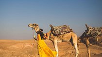 Marrakech: Agafay Desert and Atlas Mountains Tour & Camel Ride
